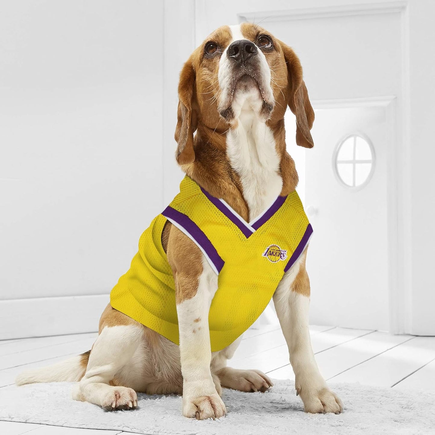 NBA Los Angeles Lakers Dog Jersey - Large Tank Top for Basketball Fans' Pets